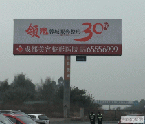 單立柱制作案例
